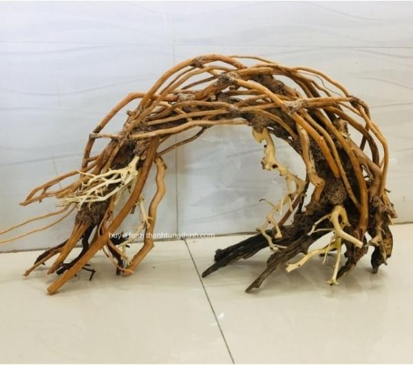 Medium Bonsai Driftwood Manufacturer