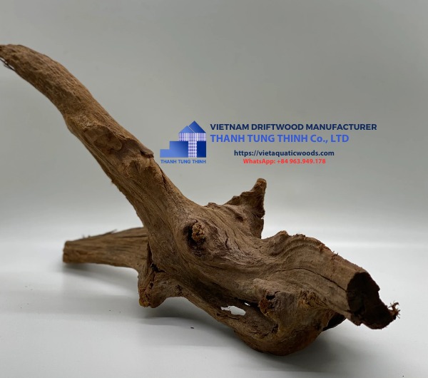 Driftwood Tree for Sale