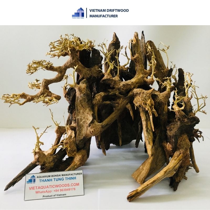 Deep grooves bonsai driftwood