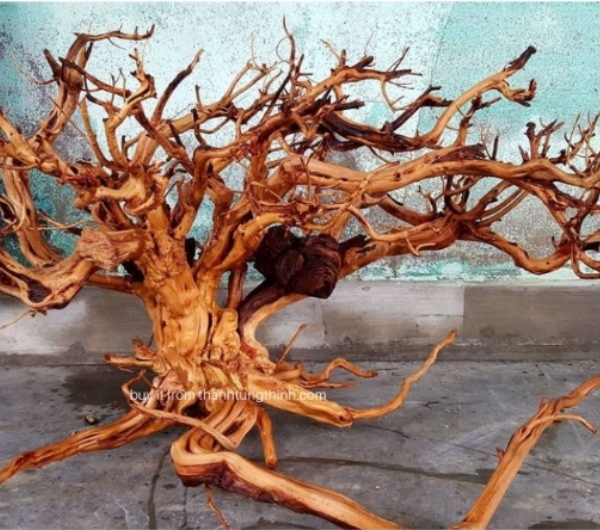 Sa Tung Driftwood Supplier