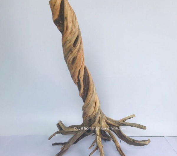 Thanh Lieu Driftwood Supplier
