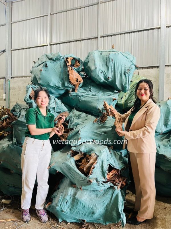 Wholesale Aquarium Natural Driftwood