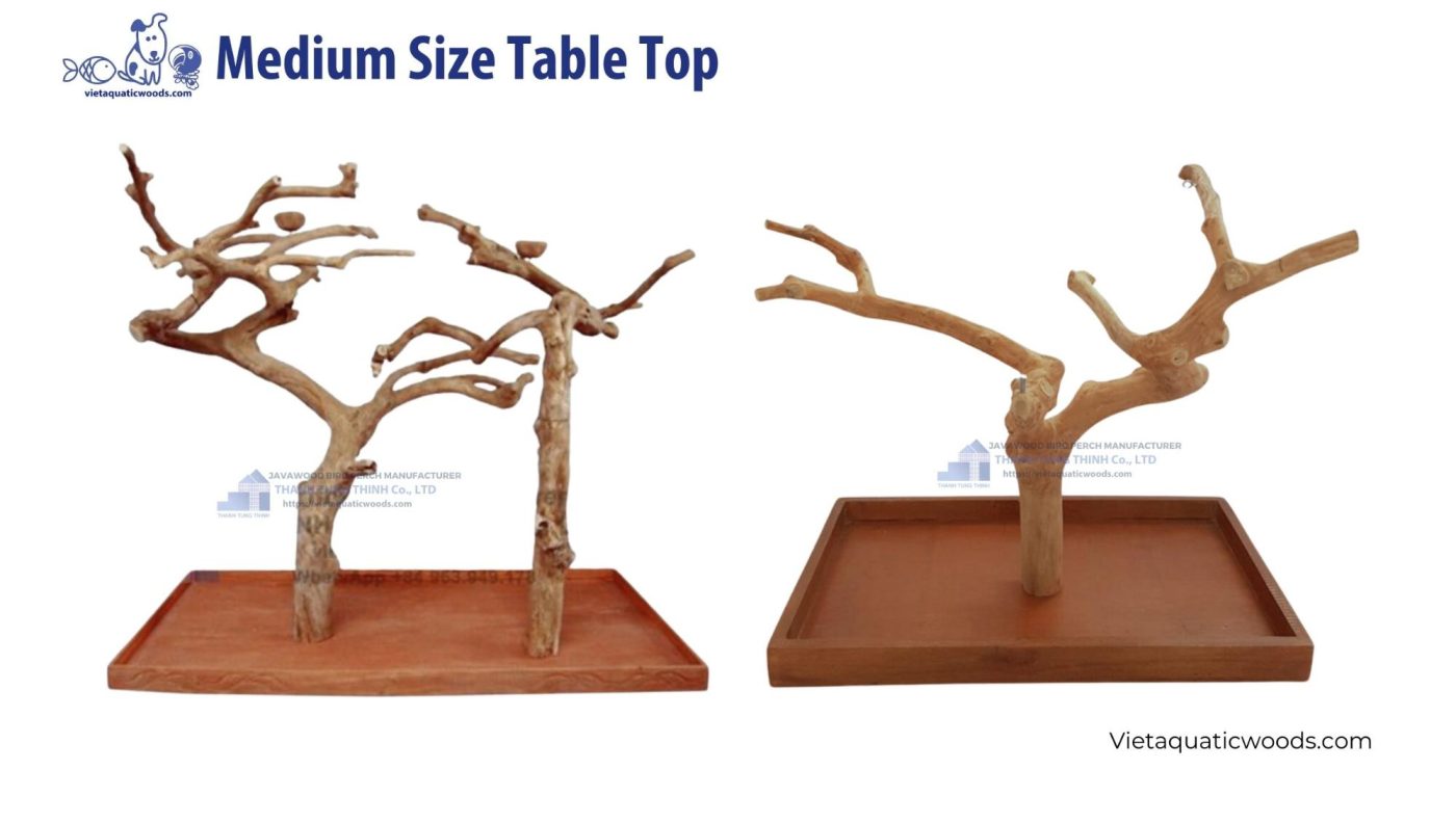 Java Wood Manufacturer