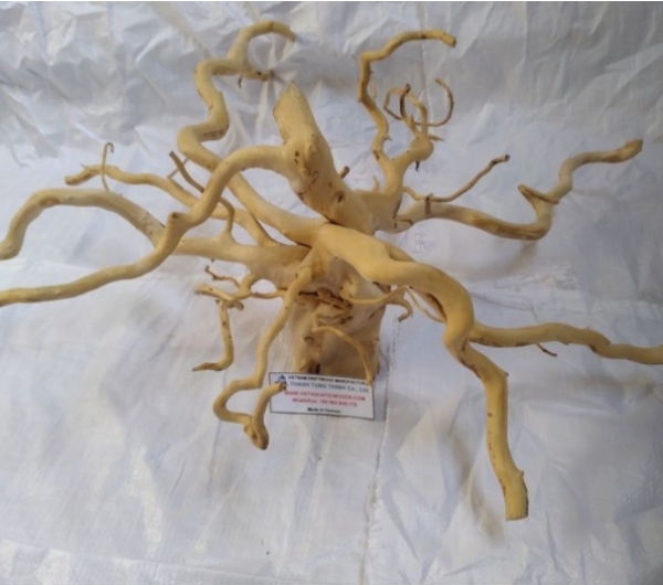 Do Quyen Driftwood Supplier