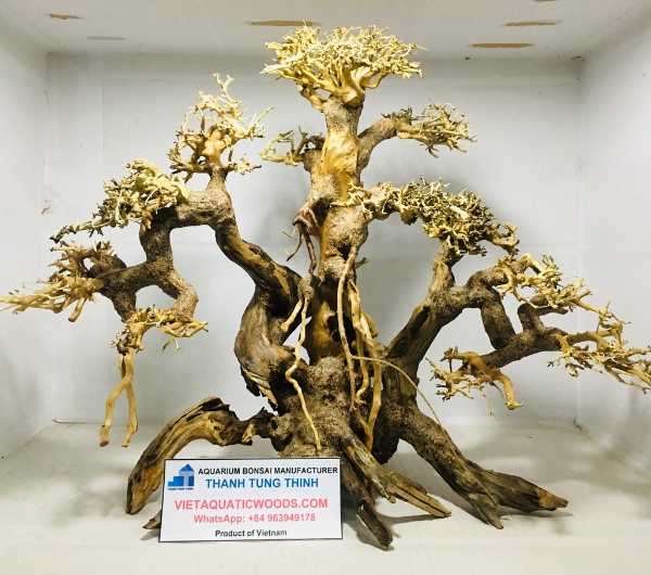 High-quality bonsai driftwood