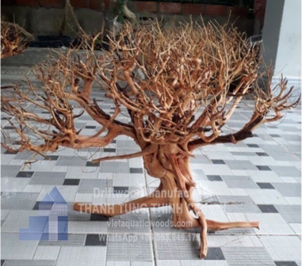 Sa Tung Driftwood Supplier