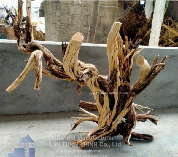 Large Thanh Lieu driftwood