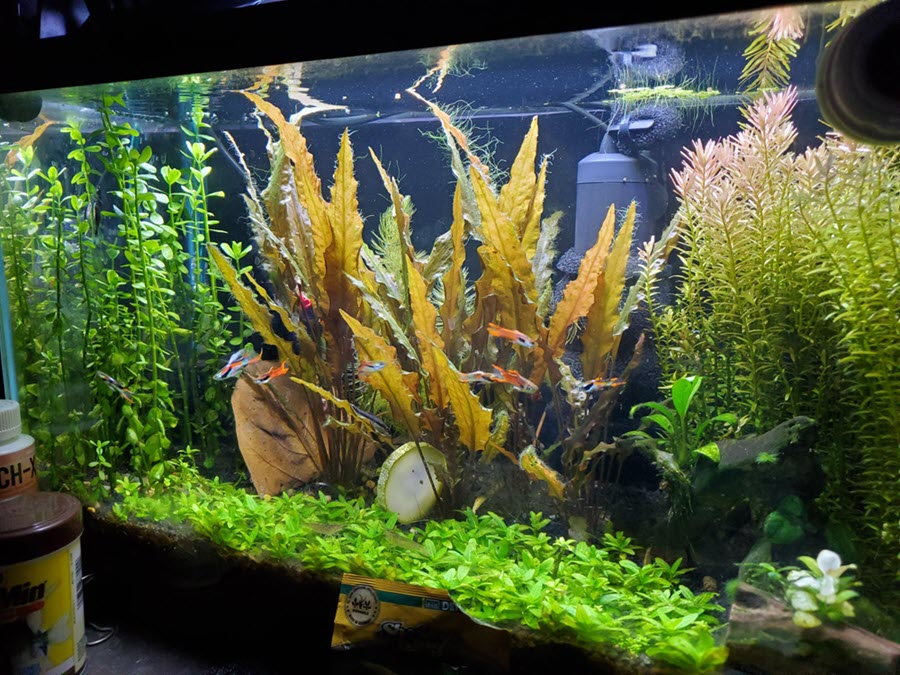  Aquarium Parts And Accessories