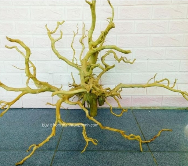 Do Quyen Driftwood Supplier