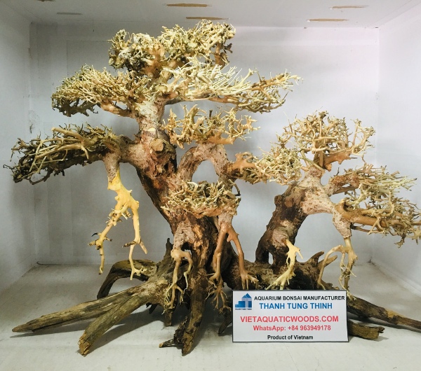 Large and Extra-Large Bonsai Driftwood