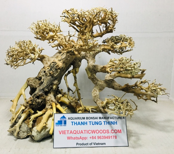 Large and Extra-Large Bonsai Driftwood