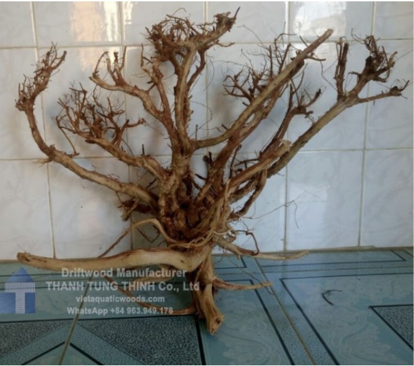 Sa Tung Driftwood Supplier