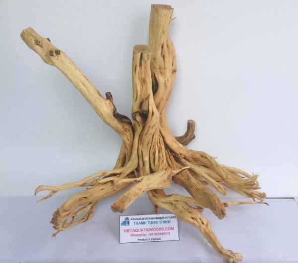 Thanh Lieu Driftwood Supplier