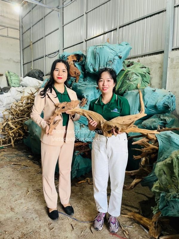 Wholesale Aquarium Natural Driftwood