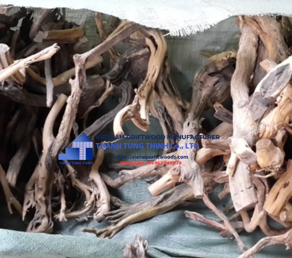 Linhsam Driftwood Supplier