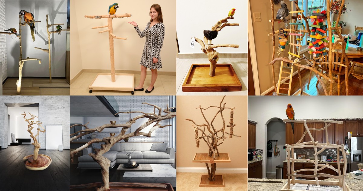 Java wood bird pearch