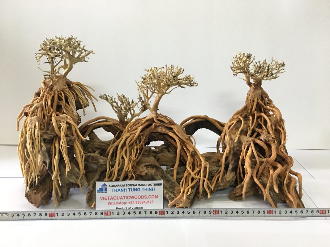 Position large bonsai driftwood as a premium product