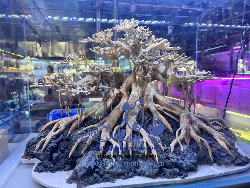 Profit potential in large bonsai driftwood wholesale