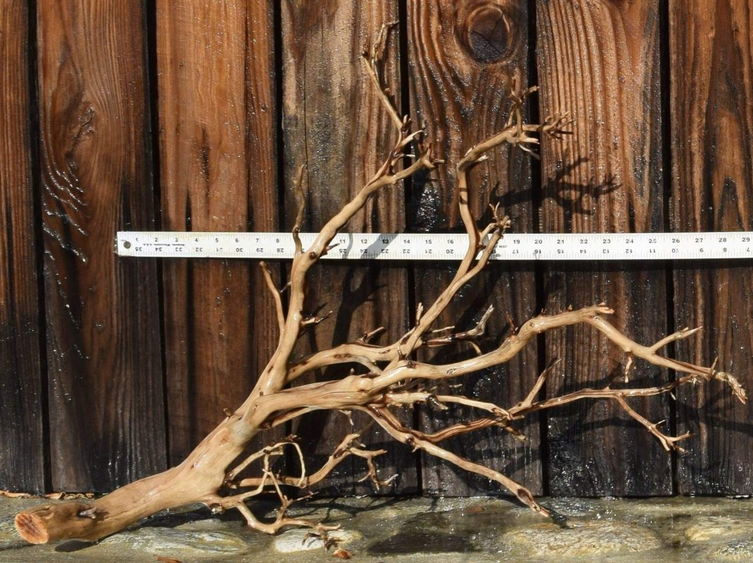 manzanita wood