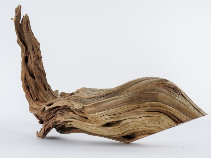 aquascaping driftwood