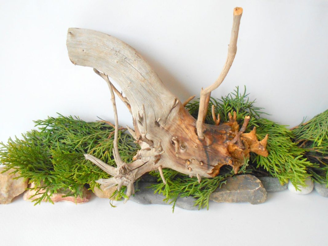 market as natural driftwood decor