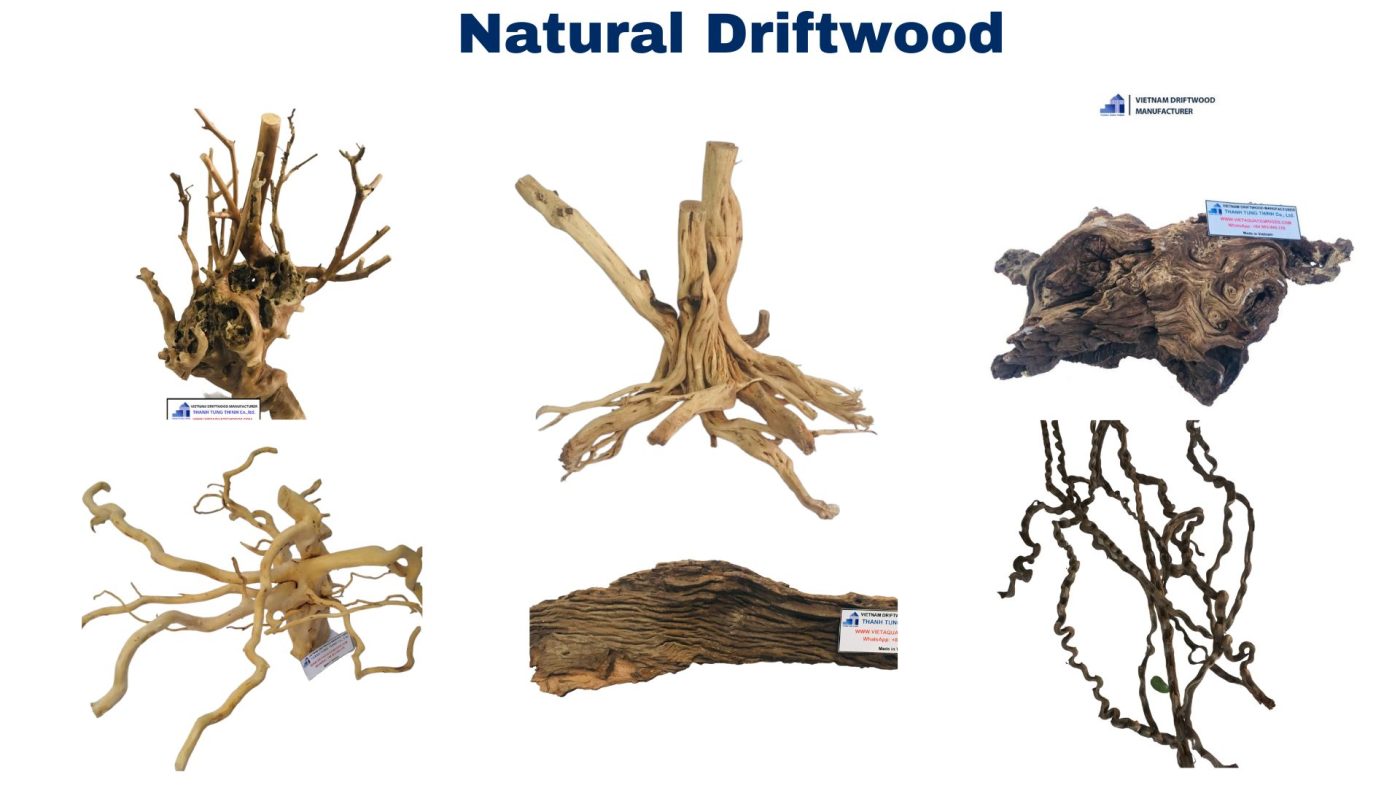 Natural driftwood