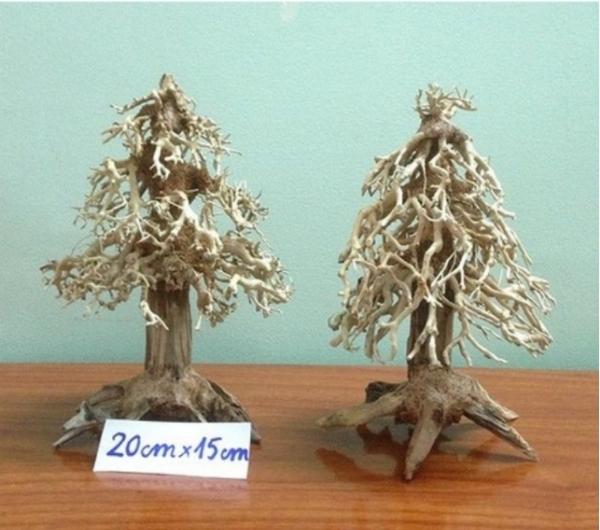 Pine shape bonsai driftwood