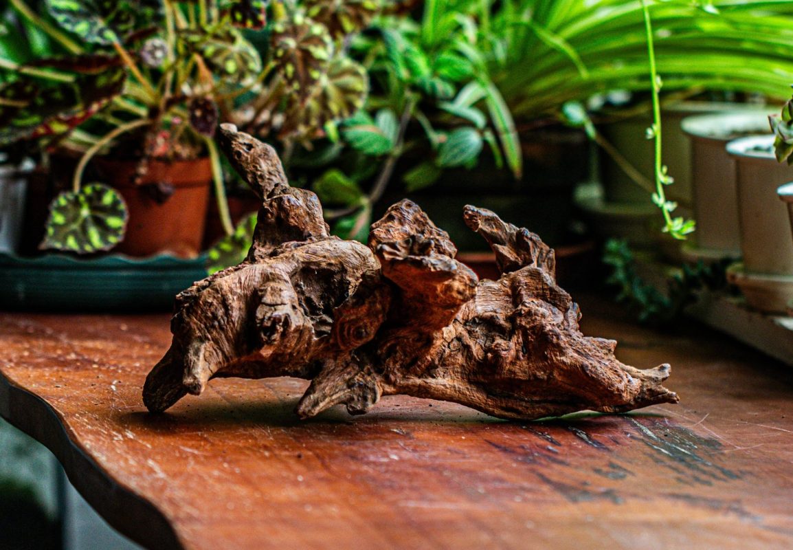 premium driftwood for sale