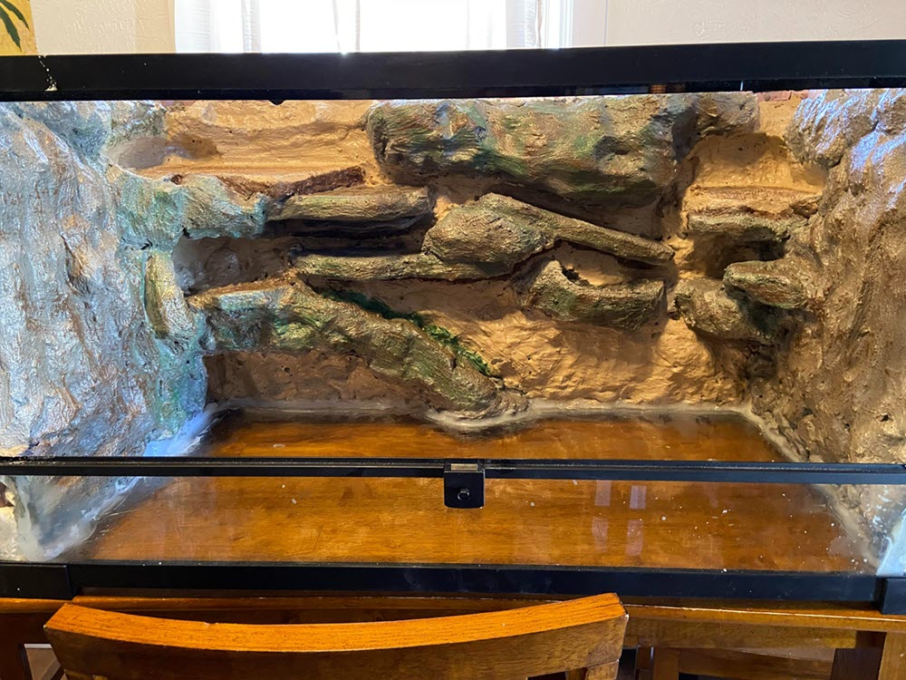 reptile aquarium