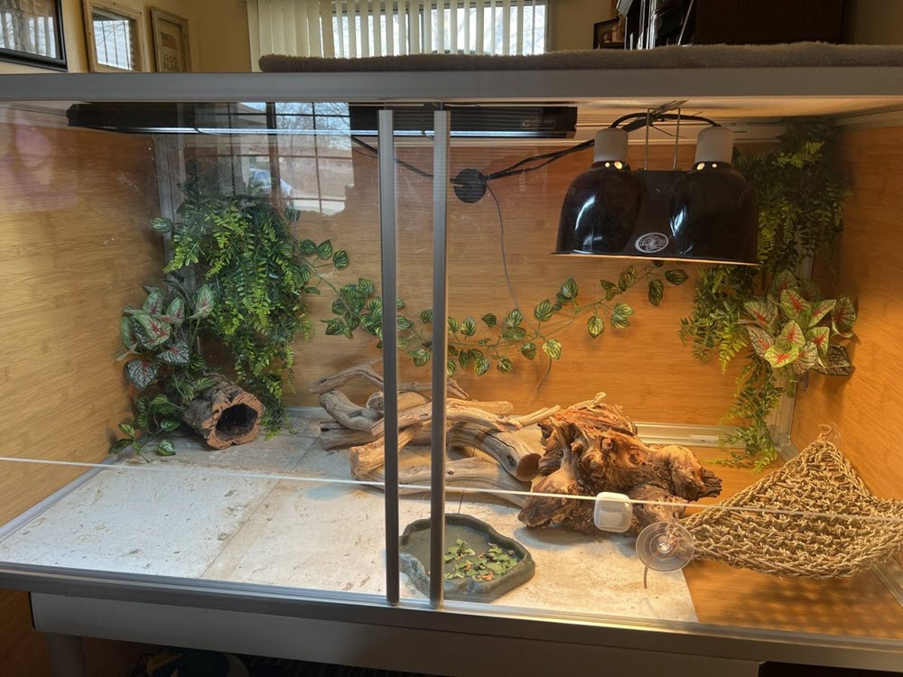 Natural aesthetics and habitat enrichment