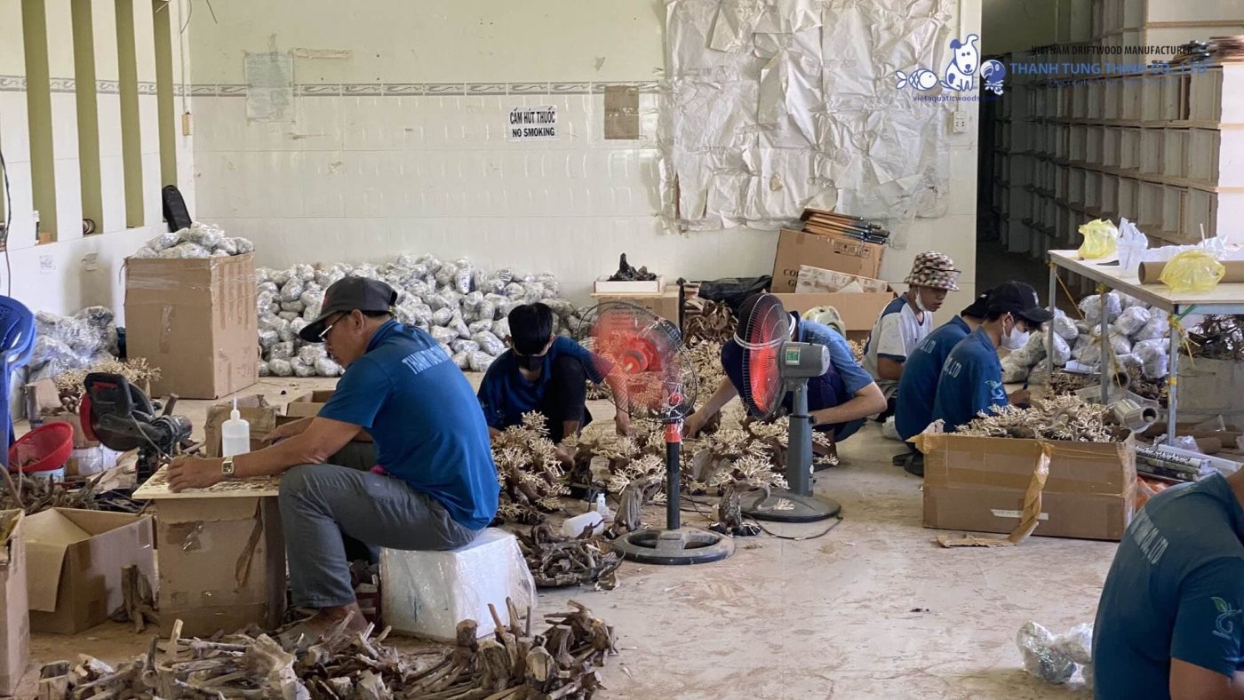 Sourcing bonsai driftwood from the direct manufacturers