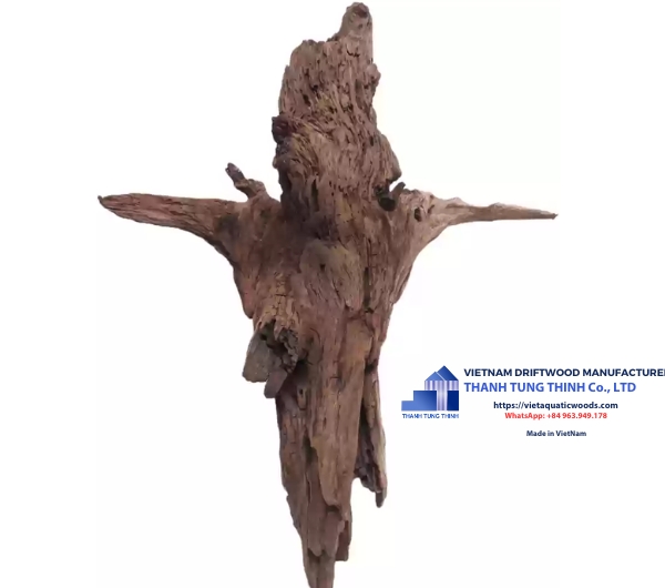 slight driftwood