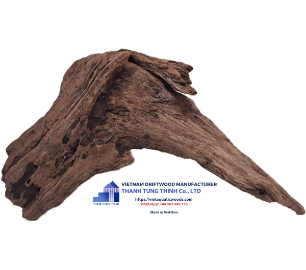 slight driftwood