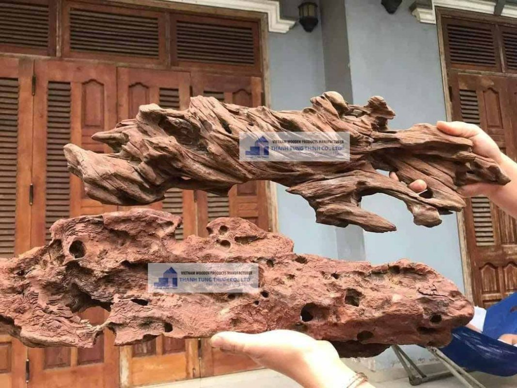 Flat driftwood pieces offer a steady surface for moss, ferns, or air plants