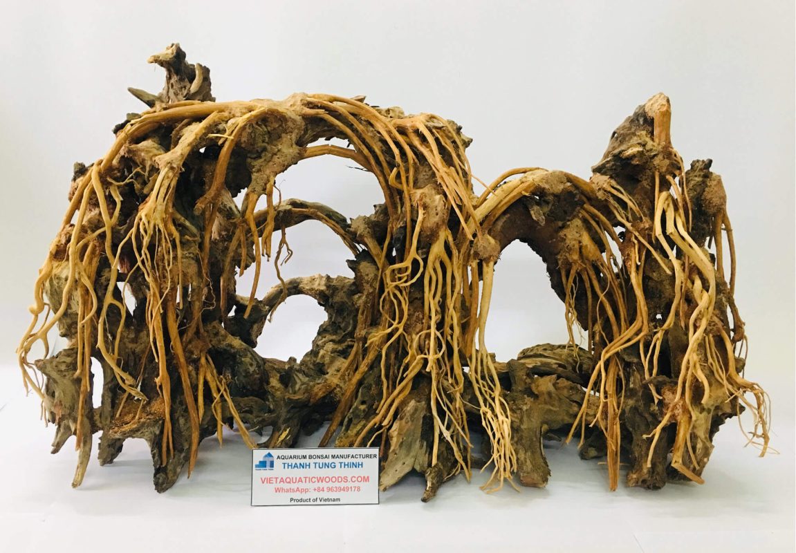 Bonsai driftwood offers visual drama, natural beauty, and artistic structure