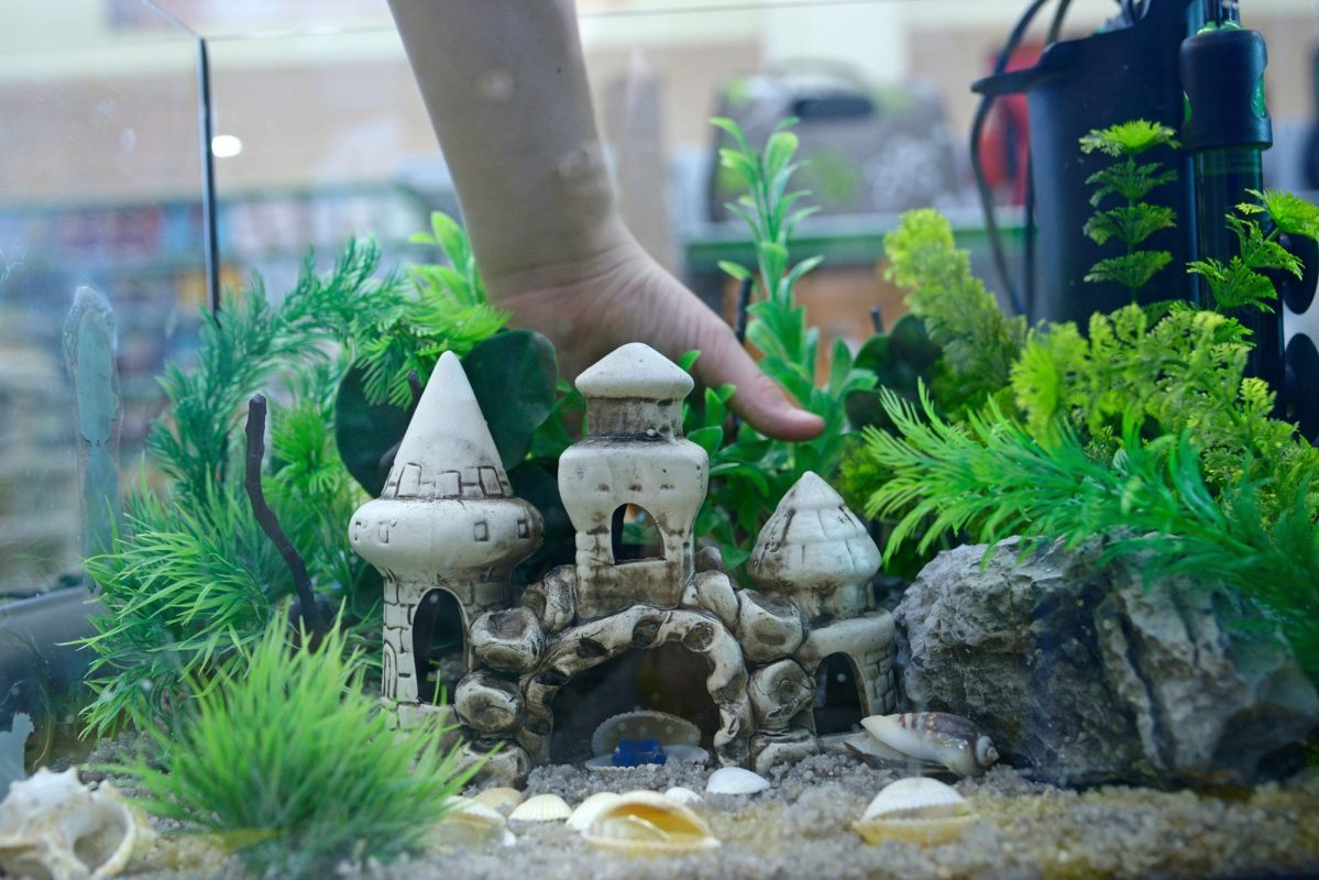 Sell aquarium bundle kits to upsell