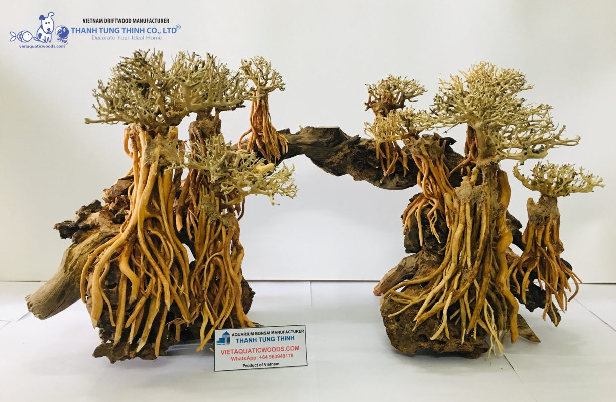 Extra-large bonsai driftwood
