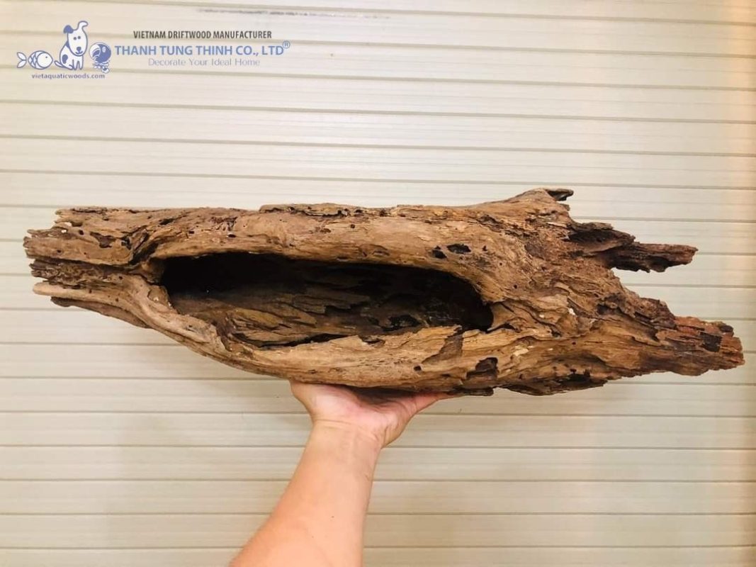 High-quality driftwood is free from harmful chemicals