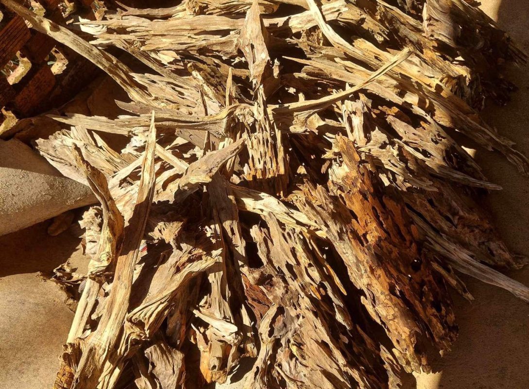 Vietnam has earned a reputation for supplying driftwood and bonsai driftwood