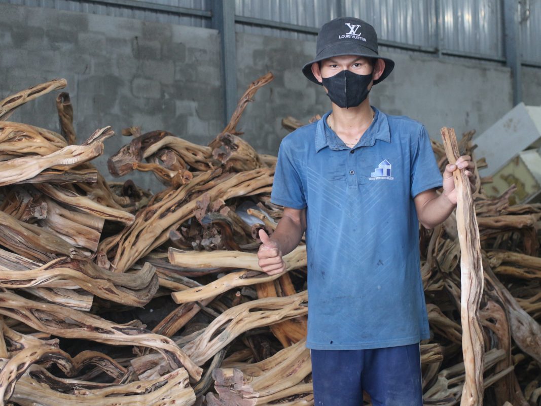 Thanh Tung Thinh is a leading natural driftwood supplier in Vietnam