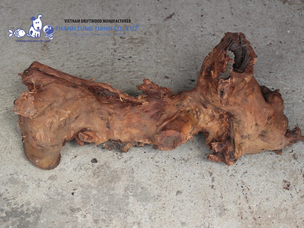 Kimchi wood