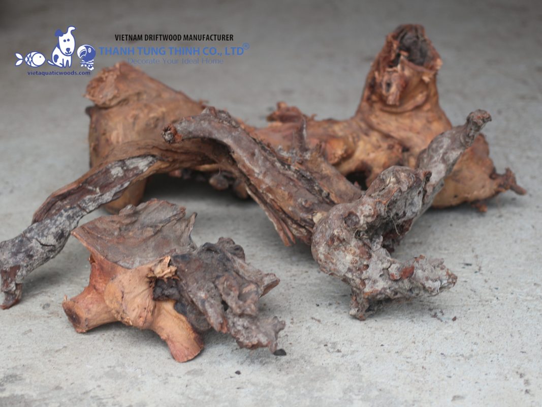 Safe driftwood for reptile enclosures