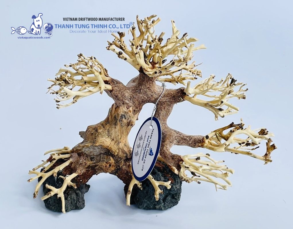 Bonsai driftwood with rock base