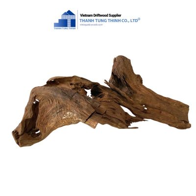 brown core driftwood for terrariums 2