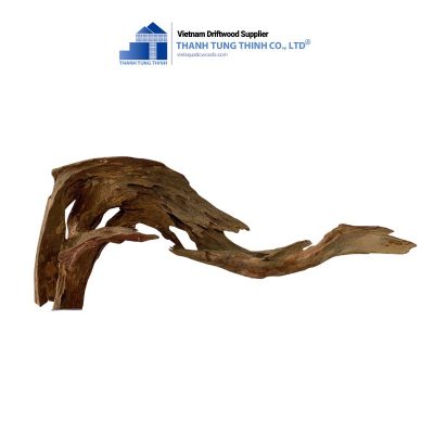 curved brown core driftwood 2