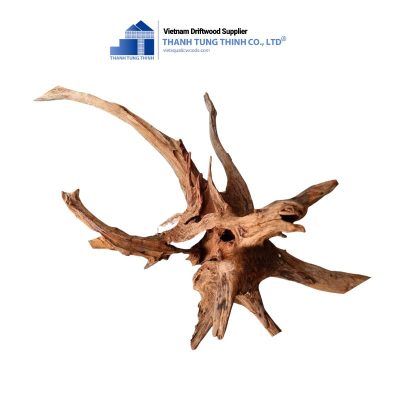 terrarium dodo wood