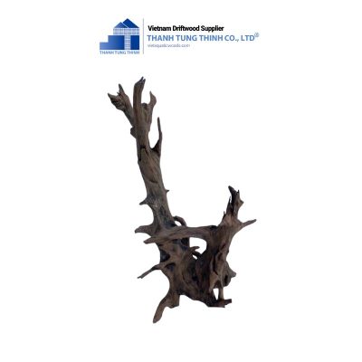 aquarium dodo driftwood
