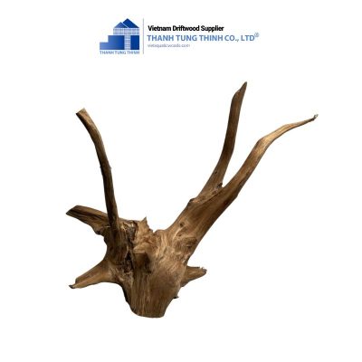 dodo driftwood 5