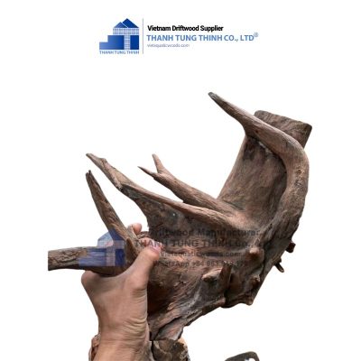 dodo wood for aquariums