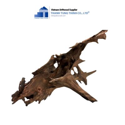 dodo driftwood 7